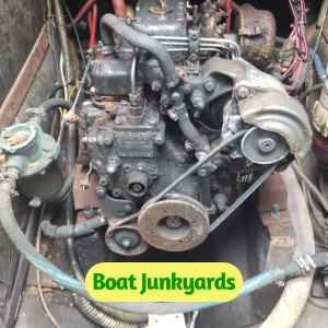 Boat Engine Removal